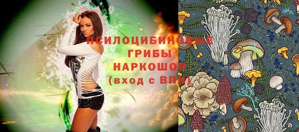 кокс Алзамай