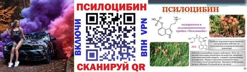 купить наркотик Юрьев-Польский Псилоцибиновые грибы Magic Shrooms